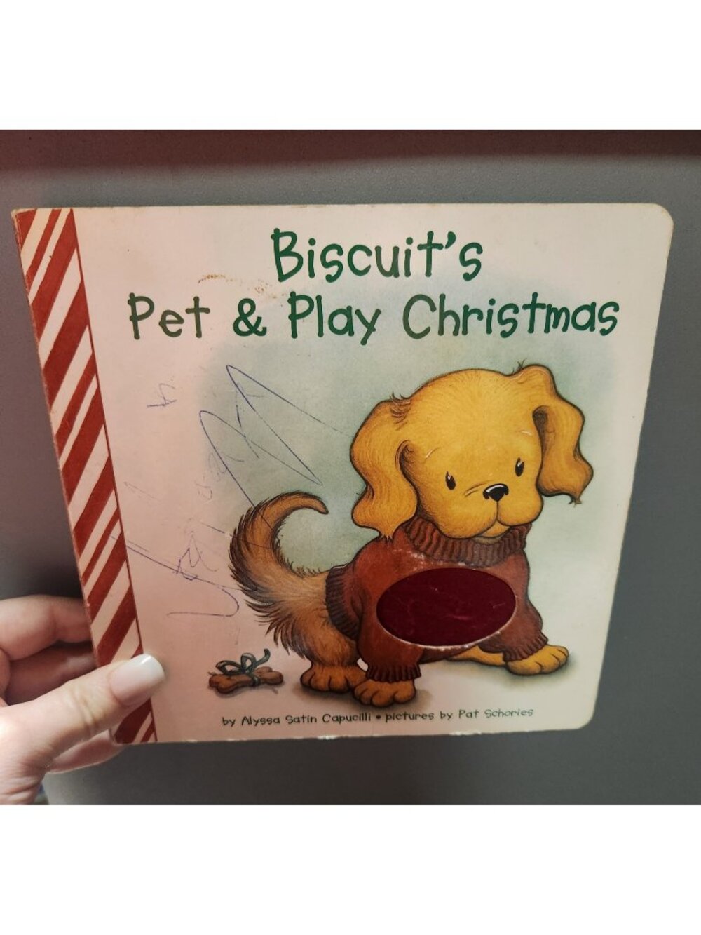 Biscuits Pet & Play Christmas Book